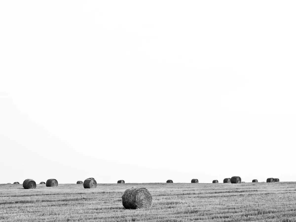 이색영당 다녀왔어요 #32
